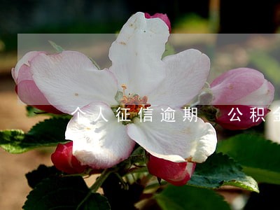 个人征信逾期 公积金贷款 个人征信逾期 公积金贷款